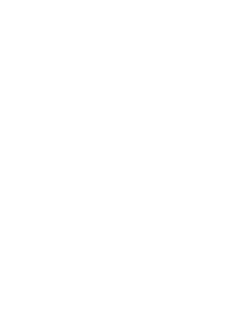 Crown Chimney Sweeps Logo
